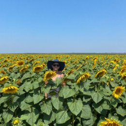 Фотография "Солнышко на небе и солнышки вокруг меня"