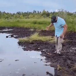 Фотография от Людмила Почепко(Куцереп)