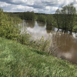 Фотография от Светлана Рязанцева (Куликова)