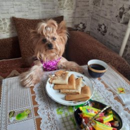 Фотография "Ну, конечно я не Коди.но с блинами тоже вроде!
С масленницей всех!!!"