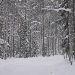 Фотография от Михаил Дорошенко