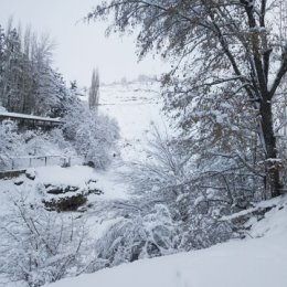 Фотография от ФАРХОД МАХМУДОВ