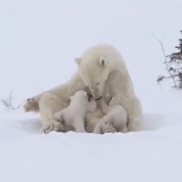 Фотография от Надежда Барулина