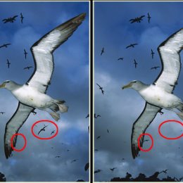 Фотография "Найди еще 3 отличия: https://ok.ru/game/find-online?referer=album_post"