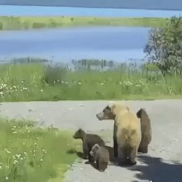 Фотография от андрей пашин