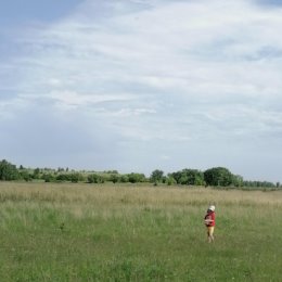 Фотография от Александра Соболевская