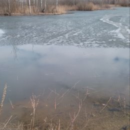 Фотография от ЛюдмилаНазаренко ЗоЖ