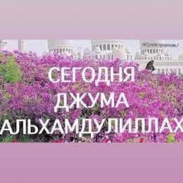 Фотография от Набиева Шифоат