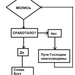 Фотография от рано Усманова