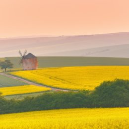 Фотография от Максим Вейзе