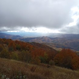 Фотография от михаил снежкин