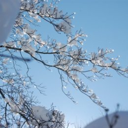 Фотография от Наталья Ермилова