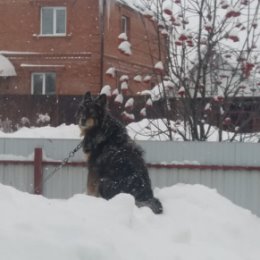 Фотография от Сергей Соснин