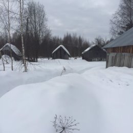 Фотография от вячеслав румянцев