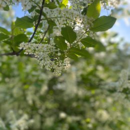 Фотография от Ирина Глинщикова (Кирсанова)