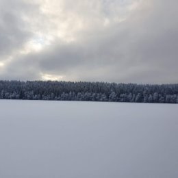 Фотография от Максим Бунин