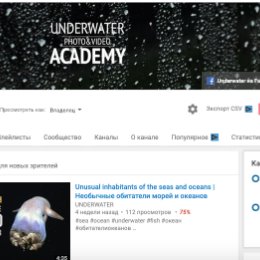 Фотография от UNDERWATER ACADEMY