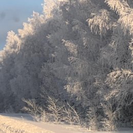 Фотография от Любовь Салиева