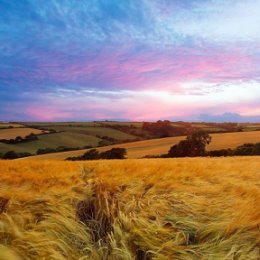 Фотография от Роман Быков