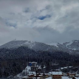 Фотография от კახი  kakhi ჯავრიშვილი javrishvili