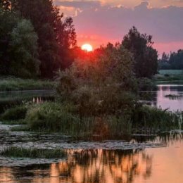 Фотография "Фото Владимира Белинского. "