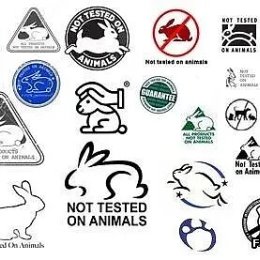 Фотография "Такие значки изображают на продукции, которую произвели без тестирования на животных.

Друзья, будьте человечнее, пользуйтесь продукцией, которую производят без тестирования на животных.
Смотрите, что бы на упаковке был значок о гуманном производстве. "