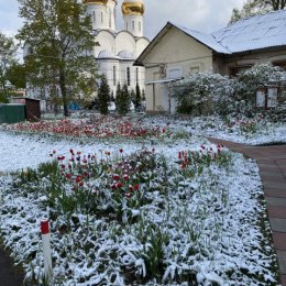 Фотография от Галина Груздева