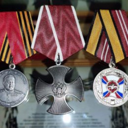 Фотография "Заслуженные медали моего любимого Героя"