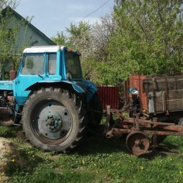 Фотография "Продам Трактор МТЗ-80 в рабочем состоянии и. Плуг 2х колка телега"