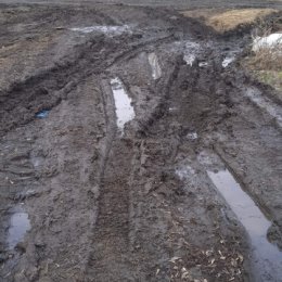 Фотография "Вода канал здесь не тупик!!!! Здесь люди живут!!! Не свиньи!!! Развезли грязь! Не пройти! "