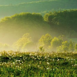 Фотография от людмила дыкуха - каширина