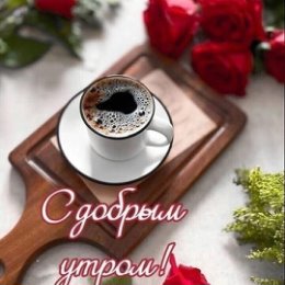 Фотография "С добрым утром, красавицы🤗 Всем отличного дня, прекрасного настроения💃 и крепкого Сибирского здоро"