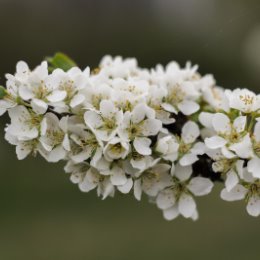 Фотография от Александр Сизов