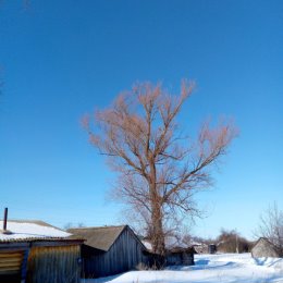 Фотография от Нина Земскова (Седова)