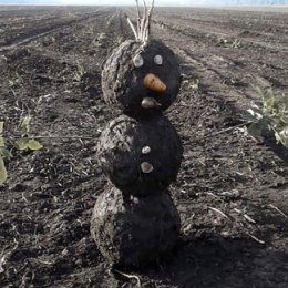 Фотография от Павел шкурский