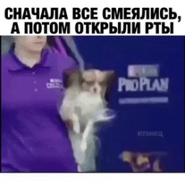 Фотография от Роман Золотухин