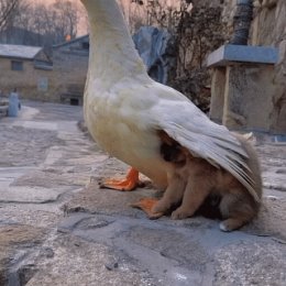 Фотография от Степан Елохин