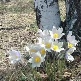 Фотография от Елена Садовник