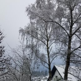 Фотография "А у нас опять зима 😊"