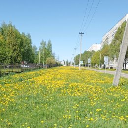 Фотография от Мария Москвина