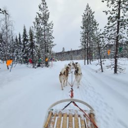 Фотография от Алексей Мурманов