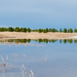 Фотография от - Унэгэтэй -