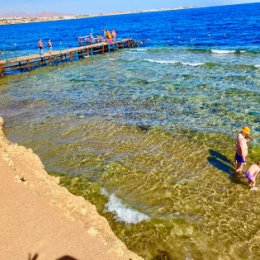 Фотография "Февраль 2023 
Любимое красное море…….Египет"