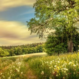 Фотография от Нина Изварина(Кижватова)