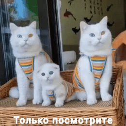 Фотография от Оксана Корнюкова