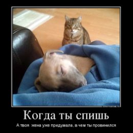Фотография "http://s017.radikal.ru/i411/1612/d6/e544a9040d27.jpg"