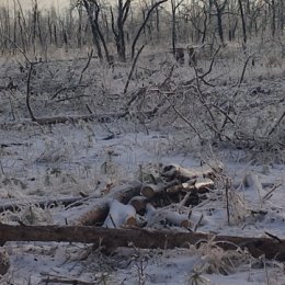 Фотография от Алексей Попов