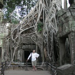 Фотография "Strangler Fig, Cambodia, Ta Prohm temple, 2012"