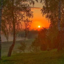 Фотография от Антонина Курочкина