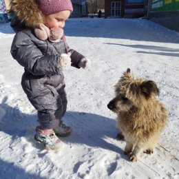 Фотография от Павел Сидоров